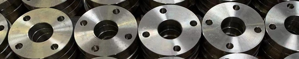 FLANGE IN ACCIAIO INOX-200000